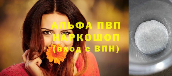 гидра Богородицк