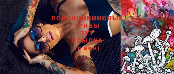 ПСИЛОЦИБИНОВЫЕ ГРИБЫ Беломорск