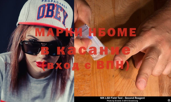 гидра Богородицк