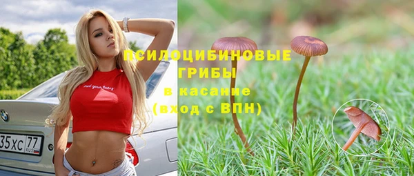 ПСИЛОЦИБИНОВЫЕ ГРИБЫ Беломорск
